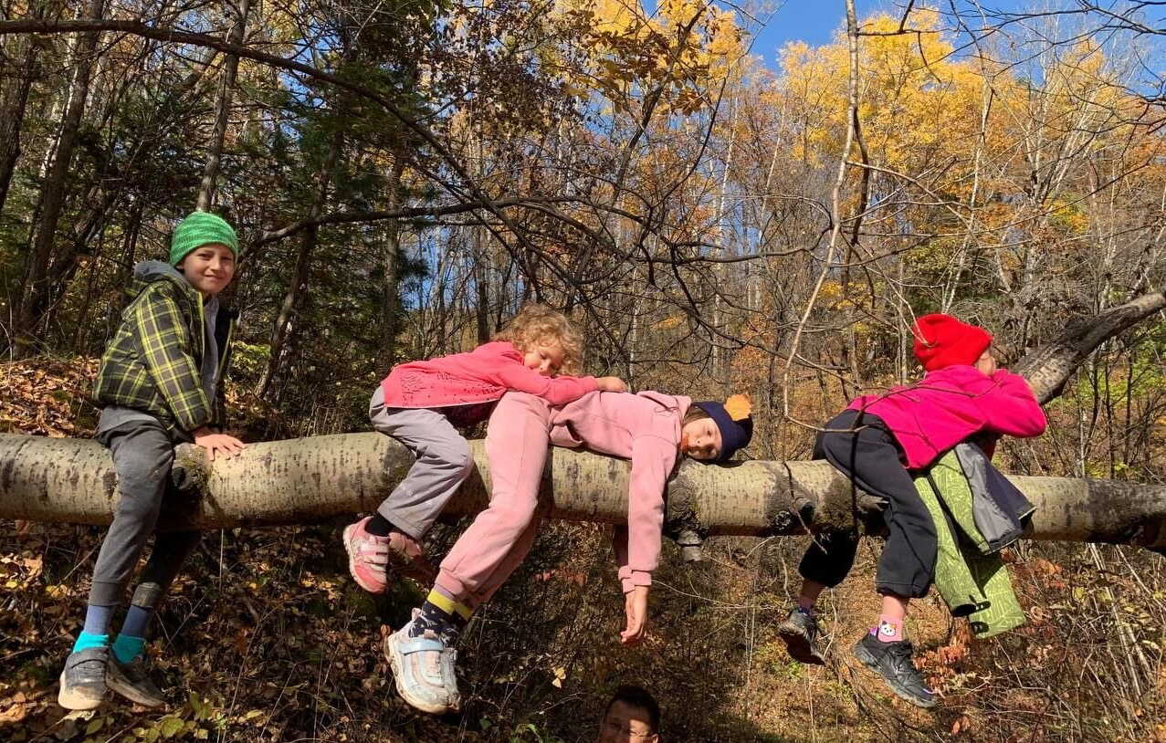 Дети на прогулке